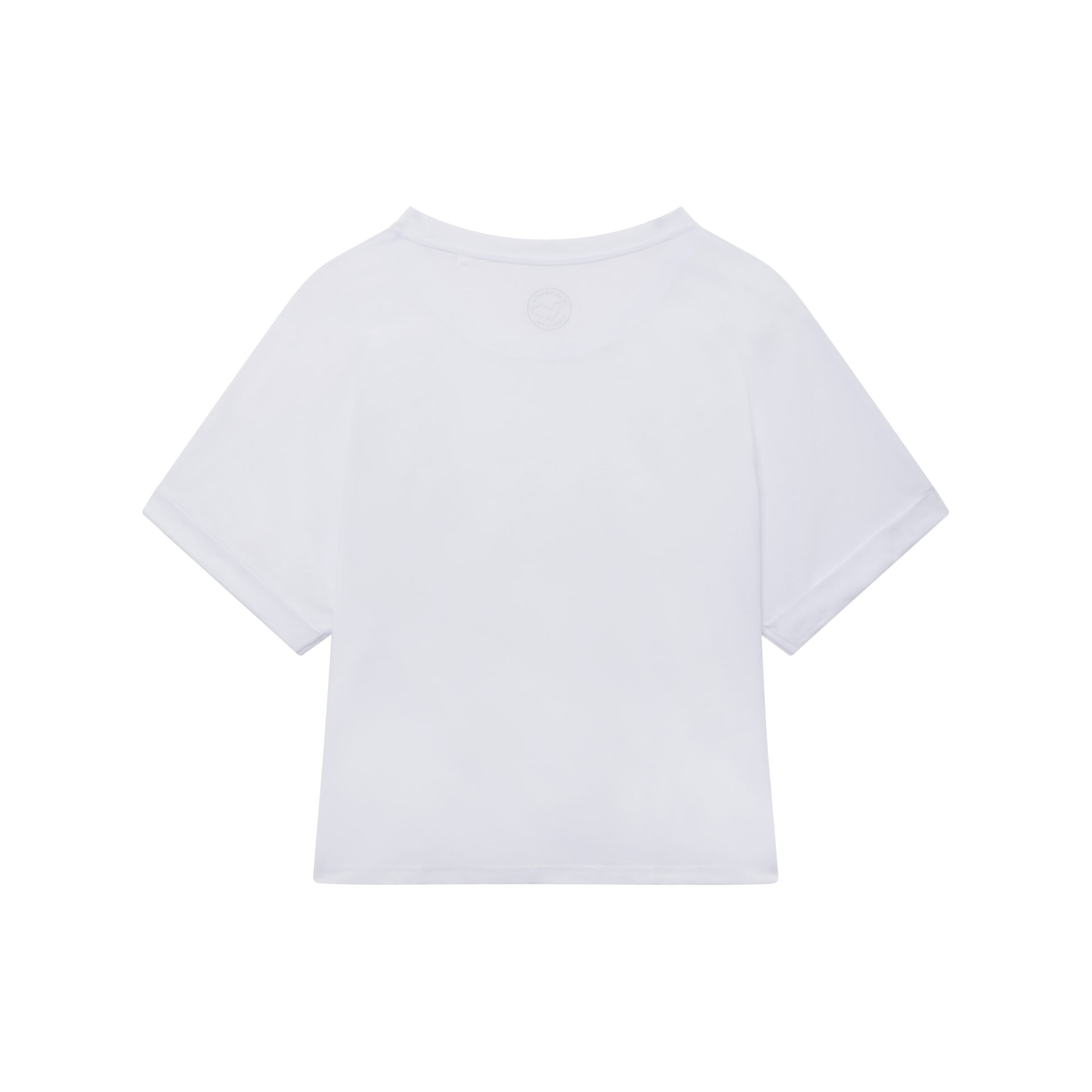 FTS25300 – Image 2